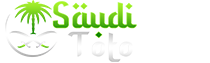 SAUDITOTO Logo